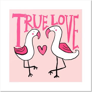 true love, flamingo Posters and Art
